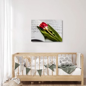 Sklenený obraz červeného tulipánu (70x50 cm)