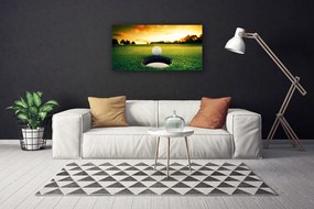 Obraz na plátne Golfový loptička tráva príroda 125x50 cm