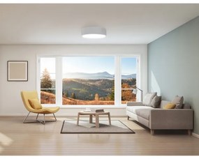 Kúpeľňové stropné svietidlo CLEO 2xE27/24W/230V pr. 30 cm biela IP54