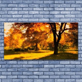 Obraz plexi Stromy jeseň príroda 120x60 cm