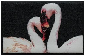 Premium rohožka- zvieratá - plameniaky (Vyberte veľkosť: 60*40 cm)