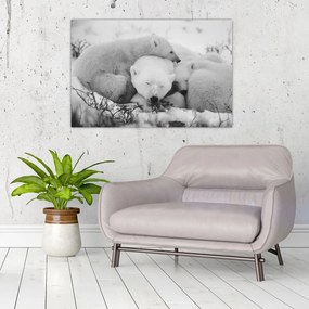 Obraz - Ľadové medvede (90x60 cm)