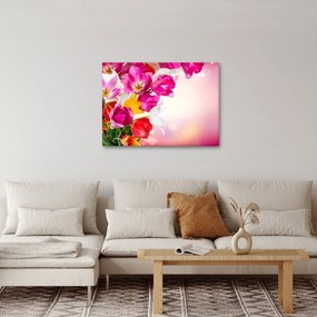 Obraz tulipánov (70x50 cm)