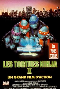 Umelecká fotografie Ninja Turtles II, 1991, (26.7 x 40 cm)