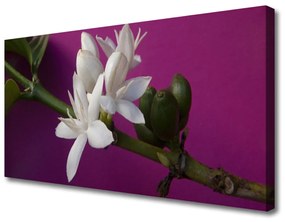 Obraz Canvas Kvety úhonky príroda 120x60 cm