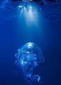 Umelecká fotografie Bubble on spot light in blue water, Biwa Studio, (30 x 40 cm)