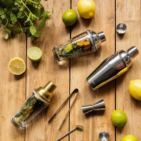 Šejker ALCOLE strieborný 999646