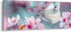 Obraz - Motýľ na čerešni (120x50 cm)