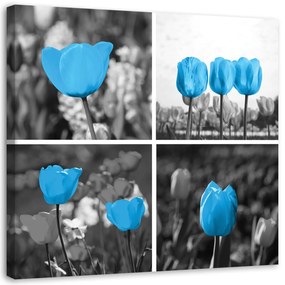 Obraz na plátně Sada modrých tulipánů - 50x50 cm