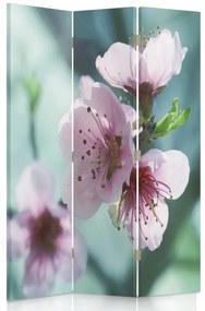Ozdobný paraván Růžový květ jabloně - 110x170 cm, trojdielny, obojstranný paraván 360°