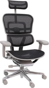 Grospol - Kancelárske kreslo Ergohuman 2 Elite GS Black