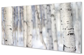 Nástenný panel  Stromy v zime sneh 120x60 cm