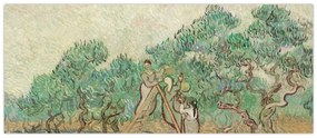 Obraz - Vincent van Gogh, The Olive Orchard, reprodukcia (120x50 cm)