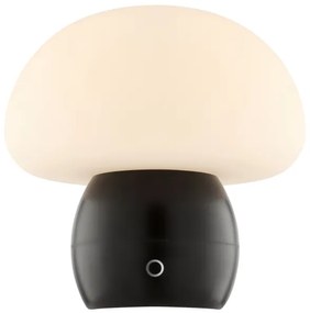 Brilliant - LED Stmievateľná nabíjateľná stolová lampa DUPIS LED/2W/5V 2700K čierna