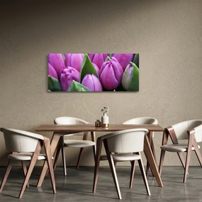 Obraz - kvety tulipánov (120x50 cm)