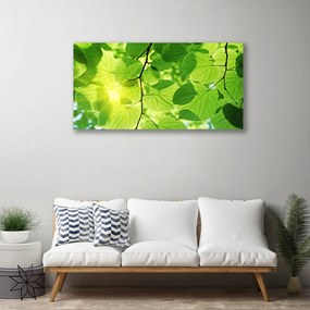 Obraz Canvas Listy príroda rastlina 125x50 cm