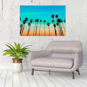 Obraz - Kalifornia (90x60 cm)