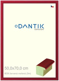 DANTIK rám na obraz 50x70 | BOX červená mořená (Plexi Čiré)