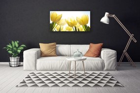 Obraz Canvas Tulipány kvety lúče 140x70 cm
