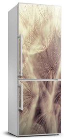 Fototapeta nálepka na chladničku Púpava FridgeStick-70x190-f-42509385