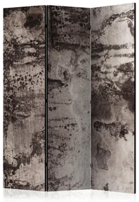 Artgeist Paraván - Old Metal [Room Dividers]