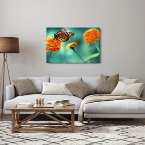 Obraz motýľa (90x60 cm)
