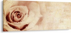 Obraz - Kvet ruže pre zaľúbených (120x50 cm)