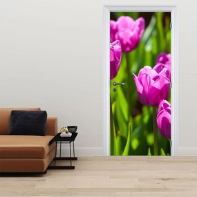 Fototapeta na dvere - Tulipány na lúke (95x205cm)