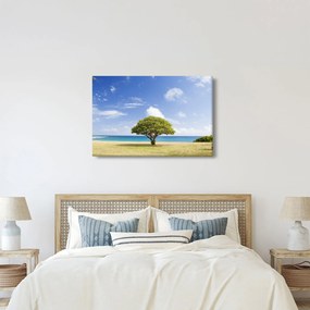 Obraz pláže so stromom (90x60 cm)