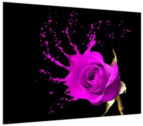 Obraz fialovej ruže (70x50 cm)