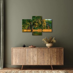 Obraz žirafy v prírode (90x60 cm)