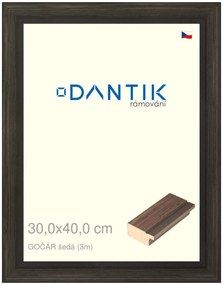 DANTIK rám na obraz 30x40 | Gočár šedá (Plexi Čiré)