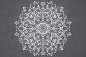 Tapeta Mandala s jarným motívom