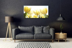 Skleneny obraz Tulipány kvety lúče 120x60 cm
