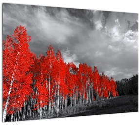 Sklenený obraz - Stromy vo farbe jesene (70x50 cm)