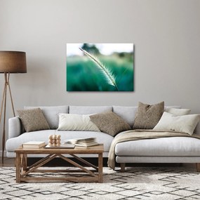 Obraz steblá trávy (70x50 cm)