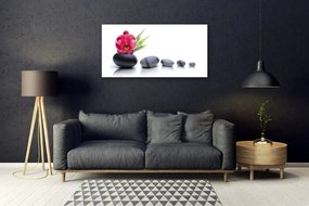 Obraz plexi Kvet kamene umenie 100x50 cm