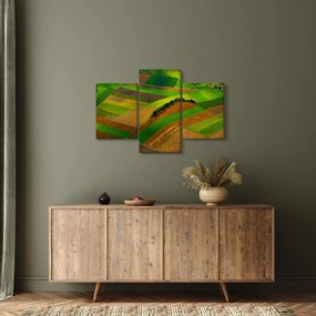 Obraz - Polia, lúky (90x60 cm)