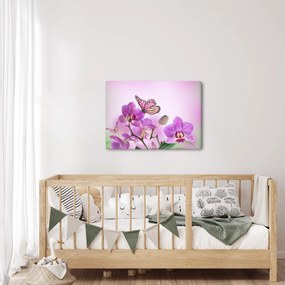 Obraz - Motýľ na kvetoch orchidey, lila (70x50 cm)