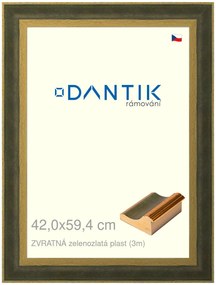 DANTIK rám na obraz 42x59,4 | ZVRATNÁ zelenozlatá plast (Plexi Čiré)