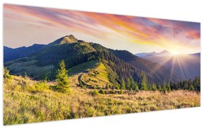 Obraz - Lesná krajina (120x50 cm)
