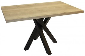 BRADOP Jedálenský stôl DETMAR S302 160x90