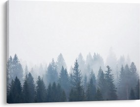 Obraz - Zahmlený les (70x50 cm)