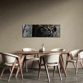 Obraz mačiatka (s hodinami) (90x30 cm)