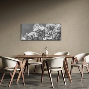 Obraz - Sušené kvety (120x50 cm)