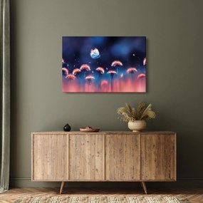 Obraz púpav s modrým motýľom (90x60 cm)
