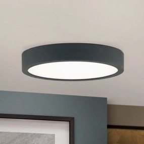 Orion DL 7-657/14 - LED Stropné svietidlo BULLY LED/12W/230V pr. 14 cm čierna