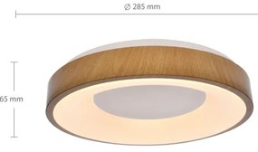Brilagi - LED Stropné svietidlo DORIA LED/24W/230V
