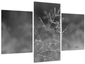 Obraz - Vidiecka lúka (90x60 cm)