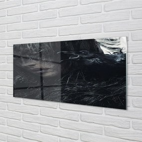 Sklenený obraz temná postava 140x70 cm